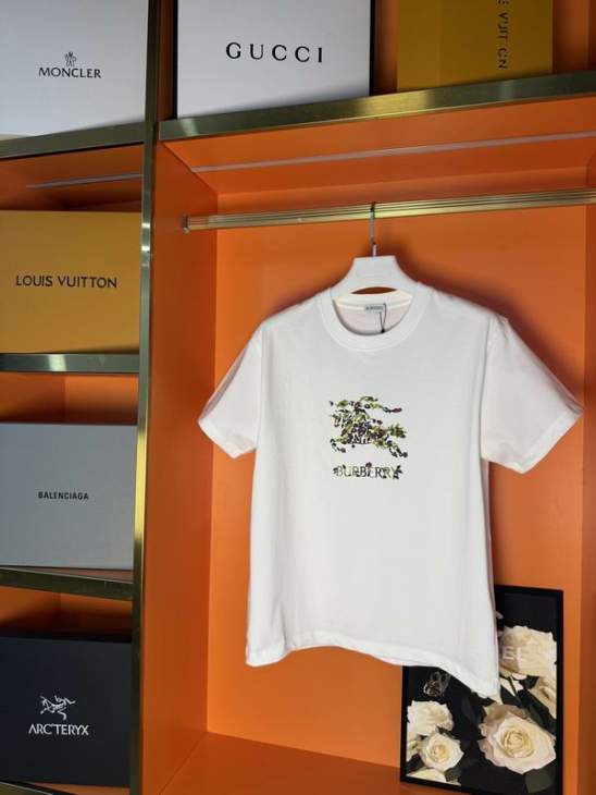 Picture of Burberry T Shirts Short _SKUBurberryXS-Llzytx003519177